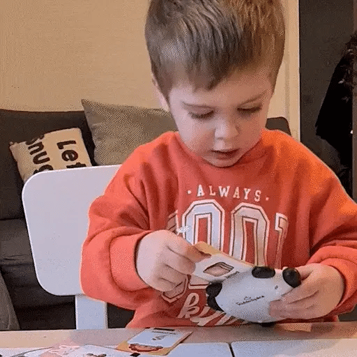 Play & Learn Flash Cards